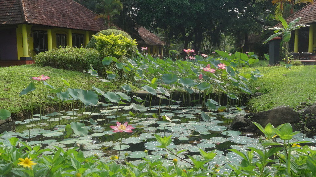 Taj Kumarakom Resort And Spa Kerala Eksteriør bilde