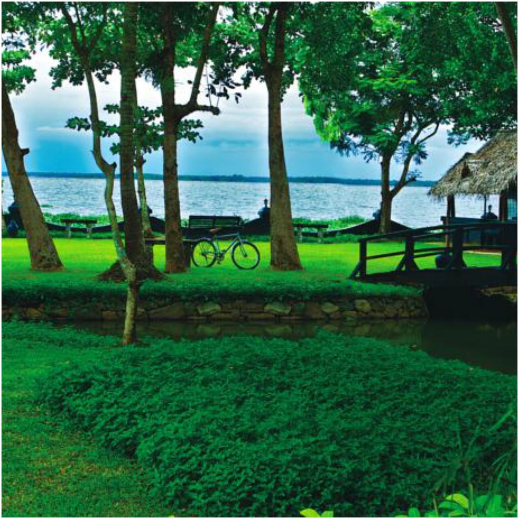 Taj Kumarakom Resort And Spa Kerala Eksteriør bilde